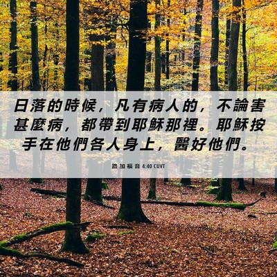 Picture 06 - 路 加 福 音 4:40 CUVT - 日 落 的 時 候 ， 凡 有 病 人 的 ， - Bible Verse Picture
