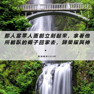 Picture 06 - 路 加 福 音 5:25 CUVT - 那 人 當 眾 人 面 前 立 刻 起 來 ， - Bible Verse Picture