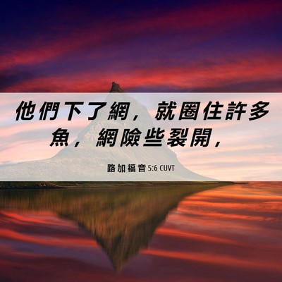 Picture 06 - 路 加 福 音 5:6 CUVT - 他 們 下 了 網 ， 就 圈 住 許 多 魚 - Bible Verse Picture