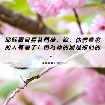 Picture 06 - 路 加 福 音 6:20 CUVT - 耶 穌 舉 目 看 著 門 徒 ， 說 ： 你 - Bible Verse Picture