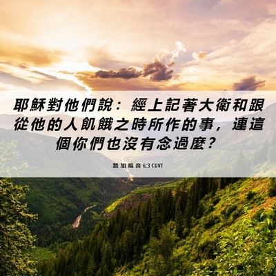 Picture 06 - 路 加 福 音 6:3 CUVT - 耶 穌 對 他 們 說 ： 經 上 記 著 大 - Bible Verse Picture