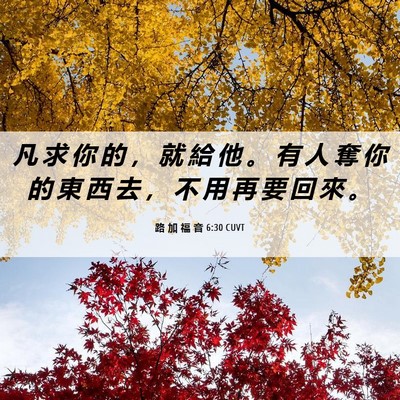 Picture 06 - 路 加 福 音 6:30 CUVT - 凡 求 你 的 ， 就 給 他 。 有 人 奪 - Bible Verse Picture