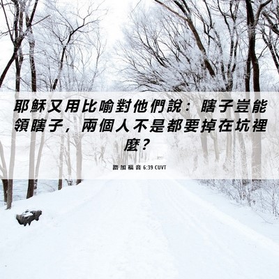 Picture 06 - 路 加 福 音 6:39 CUVT - 耶 穌 又 用 比 喻 對 他 們 說 ： 瞎 - Bible Verse Picture