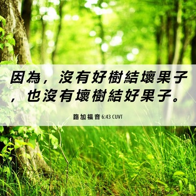 Picture 06 - 路 加 福 音 6:43 CUVT - 因 為 ， 沒 有 好 樹 結 壞 果 子 ， - Bible Verse Picture