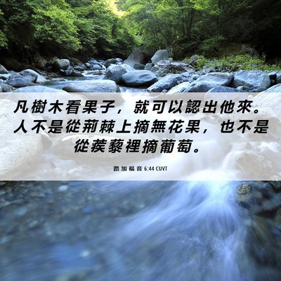 Picture 06 - 路 加 福 音 6:44 CUVT - 凡 樹 木 看 果 子 ， 就 可 以 認 出 - Bible Verse Picture