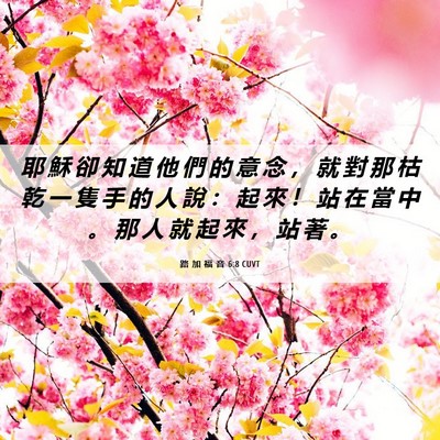 Picture 06 - 路 加 福 音 6:8 CUVT - 耶 穌 卻 知 道 他 們 的 意 念 ， 就 - Bible Verse Picture