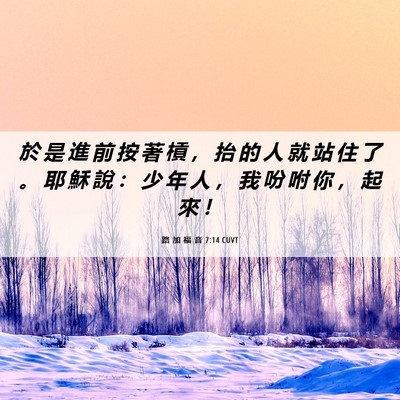 Picture 06 - 路 加 福 音 7:14 CUVT - 於 是 進 前 按 著 槓 ， 抬 的 人 就 - Bible Verse Picture