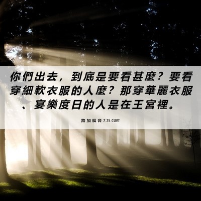 Picture 06 - 路 加 福 音 7:25 CUVT - 你 們 出 去 ， 到 底 是 要 看 甚 麼 - Bible Verse Picture
