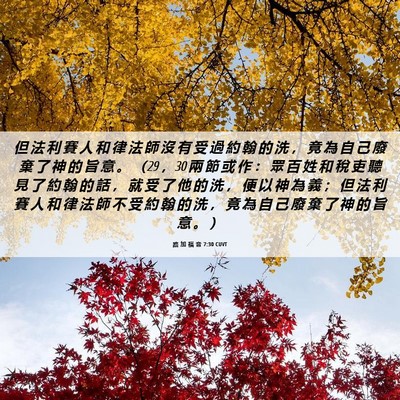 Picture 06 - 路 加 福 音 7:30 CUVT - 但 法 利 賽 人 和 律 法 師 沒 有 受 - Bible Verse Picture