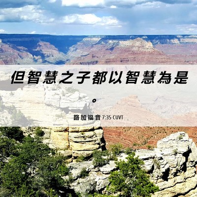 Picture 06 - 路 加 福 音 7:35 CUVT - 但 智 慧 之 子 都 以 智 慧 為 是 - Bible Verse Picture