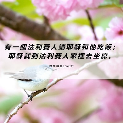 Picture 06 - 路 加 福 音 7:36 CUVT - 有 一 個 法 利 賽 人 請 耶 穌 和 他 - Bible Verse Picture