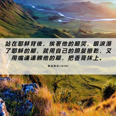 Picture 06 - 路 加 福 音 7:38 CUVT - 站 在 耶 穌 背 後 ， 挨 著 他 的 腳 - Bible Verse Picture