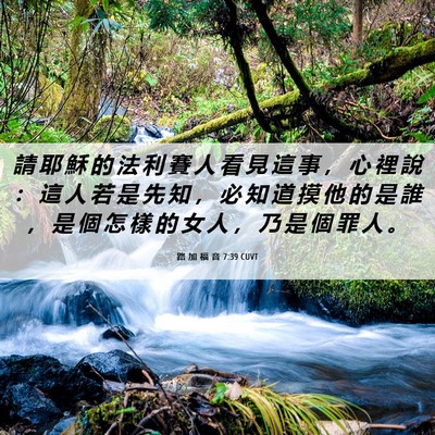 Picture 06 - 路 加 福 音 7:39 CUVT - 請 耶 穌 的 法 利 賽 人 看 見 這 事 - Bible Verse Picture