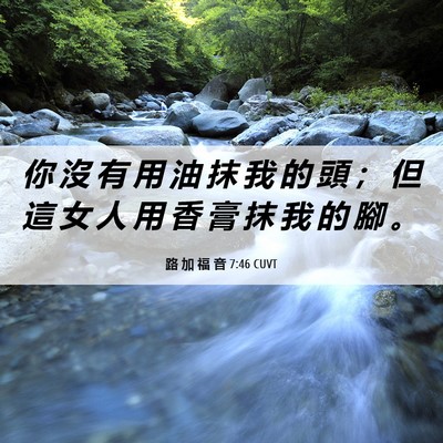 Picture 06 - 路 加 福 音 7:46 CUVT - 你 沒 有 用 油 抹 我 的 頭 ； 但 這 - Bible Verse Picture