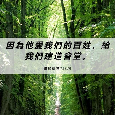Picture 06 - 路 加 福 音 7:5 CUVT - 因 為 他 愛 我 們 的 百 姓 ， 給 我 - Bible Verse Picture