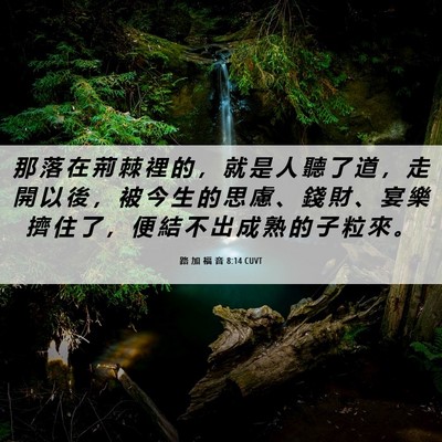 Picture 06 - 路 加 福 音 8:14 CUVT - 那 落 在 荊 棘 裡 的 ， 就 是 人 聽 - Bible Verse Picture