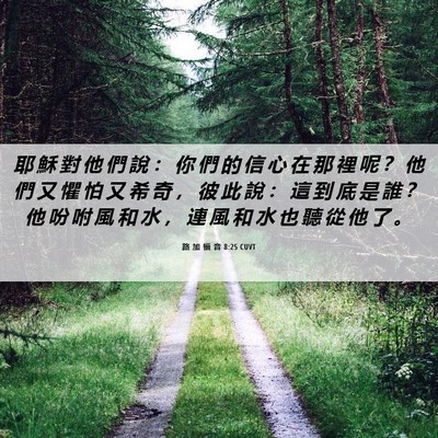 Picture 06 - 路 加 福 音 8:25 CUVT - 耶 穌 對 他 們 說 ： 你 們 的 信 心 - Bible Verse Picture