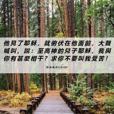 Picture 06 - 路 加 福 音 8:28 CUVT - 他 見 了 耶 穌 ， 就 俯 伏 在 他 面 - Bible Verse Picture
