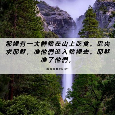 Picture 06 - 路 加 福 音 8:32 CUVT - 那 裡 有 一 大 群 豬 在 山 上 吃 食 - Bible Verse Picture