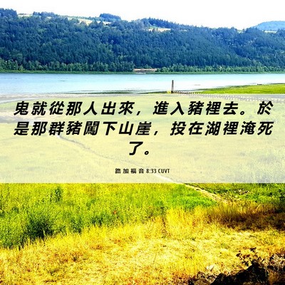 Picture 06 - 路 加 福 音 8:33 CUVT - 鬼 就 從 那 人 出 來 ， 進 入 豬 裡 - Bible Verse Picture