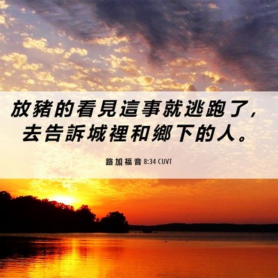 Picture 06 - 路 加 福 音 8:34 CUVT - 放 豬 的 看 見 這 事 就 逃 跑 了 ， - Bible Verse Picture