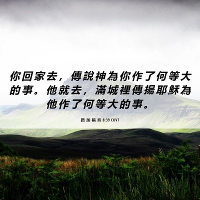 Picture 06 - 路 加 福 音 8:39 CUVT - 你 回 家 去 ， 傳 說 神 為 你 作 了 - Bible Verse Picture