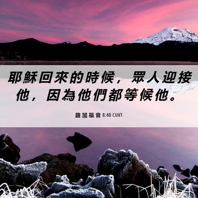 Picture 06 - 路 加 福 音 8:40 CUVT - 耶 穌 回 來 的 時 候 ， 眾 人 迎 接 - Bible Verse Picture