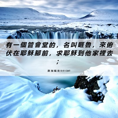 Picture 06 - 路 加 福 音 8:41 CUVT - 有 一 個 管 會 堂 的 ， 名 叫 睚 魯 - Bible Verse Picture