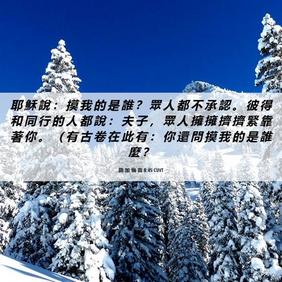 Picture 06 - 路 加 福 音 8:45 CUVT - 耶 穌 說 ： 摸 我 的 是 誰 ？ 眾 人 - Bible Verse Picture