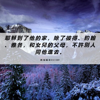 Picture 06 - 路 加 福 音 8:51 CUVT - 耶 穌 到 了 他 的 家 ， 除 了 彼 得 - Bible Verse Picture