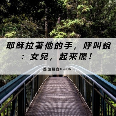 Picture 06 - 路 加 福 音 8:54 CUVT - 耶 穌 拉 著 他 的 手 ， 呼 叫 說 ： - Bible Verse Picture