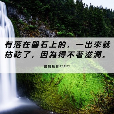 Picture 06 - 路 加 福 音 8:6 CUVT - 有 落 在 磐 石 上 的 ， 一 出 來 就 - Bible Verse Picture