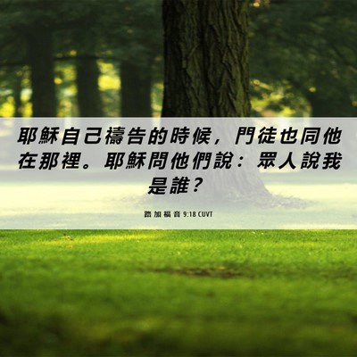Picture 06 - 路 加 福 音 9:18 CUVT - 耶 穌 自 己 禱 告 的 時 候 ， 門 徒 - Bible Verse Picture