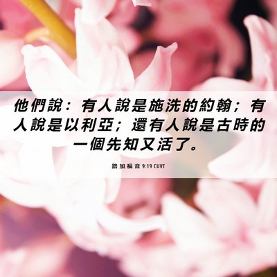 Picture 06 - 路 加 福 音 9:19 CUVT - 他 們 說 ： 有 人 說 是 施 洗 的 約 - Bible Verse Picture