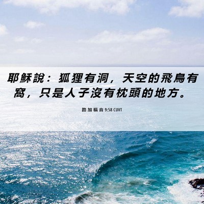 Picture 06 - 路 加 福 音 9:58 CUVT - 耶 穌 說 ： 狐 狸 有 洞 ， 天 空 的 - Bible Verse Picture