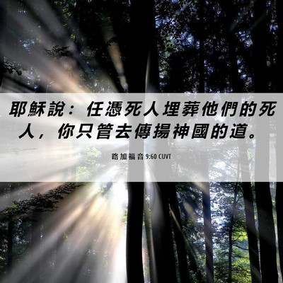 Picture 06 - 路 加 福 音 9:60 CUVT - 耶 穌 說 ： 任 憑 死 人 埋 葬 他 們 - Bible Verse Picture