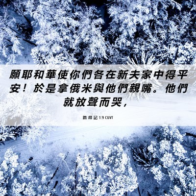 Picture 06 - 路 得 記 1:9 CUVT - 願 耶 和 華 使 你 們 各 在 新 夫 家 - Bible Verse Picture