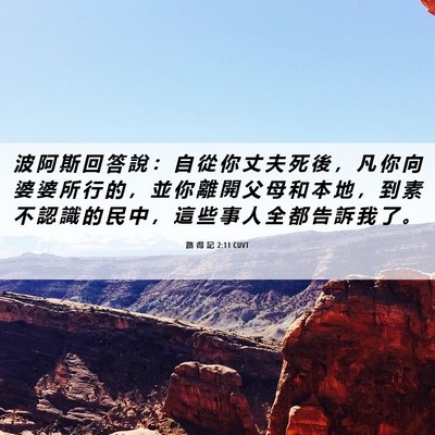Picture 06 - 路 得 記 2:11 CUVT - 波 阿 斯 回 答 說 ： 自 從 你 丈 夫 - Bible Verse Picture