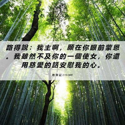 Picture 06 - 路 得 記 2:13 CUVT - 路 得 說 ： 我 主 啊 ， 願 在 你 眼 - Bible Verse Picture