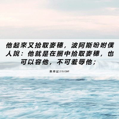 Picture 06 - 路 得 記 2:15 CUVT - 他 起 來 又 拾 取 麥 穗 ， 波 阿 斯 - Bible Verse Picture