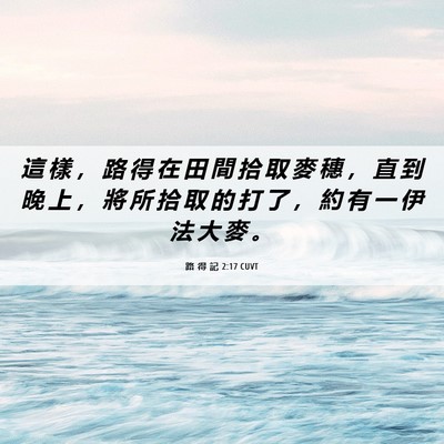Picture 06 - 路 得 記 2:17 CUVT - 這 樣 ， 路 得 在 田 間 拾 取 麥 穗 - Bible Verse Picture