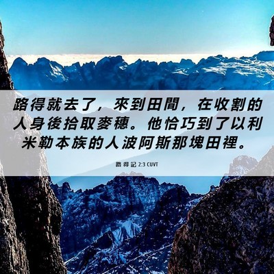 Picture 06 - 路 得 記 2:3 CUVT - 路 得 就 去 了 ， 來 到 田 間 ， 在 - Bible Verse Picture