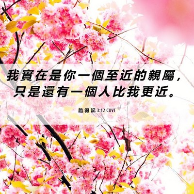 Picture 06 - 路 得 記 3:12 CUVT - 我 實 在 是 你 一 個 至 近 的 親 屬 - Bible Verse Picture