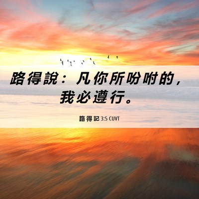 Picture 06 - 路 得 記 3:5 CUVT - 路 得 說 ： 凡 你 所 吩 咐 的 ， 我 - Bible Verse Picture