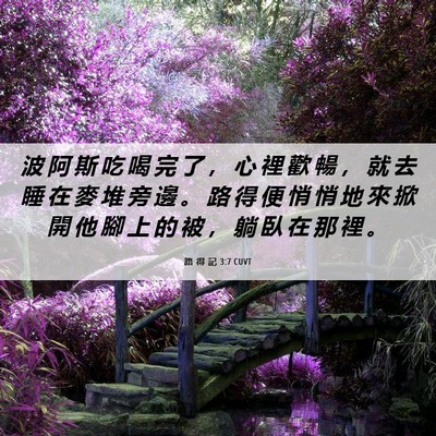 Picture 06 - 路 得 記 3:7 CUVT - 波 阿 斯 吃 喝 完 了 ， 心 裡 歡 暢 - Bible Verse Picture