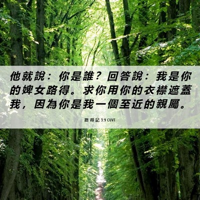 Picture 06 - 路 得 記 3:9 CUVT - 他 就 說 ： 你 是 誰 ？ 回 答 說 ： - Bible Verse Picture