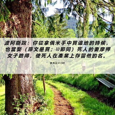 Picture 06 - 路 得 記 4:5 CUVT - 波 阿 斯 說 ： 你 從 拿 俄 米 手 中 - Bible Verse Picture