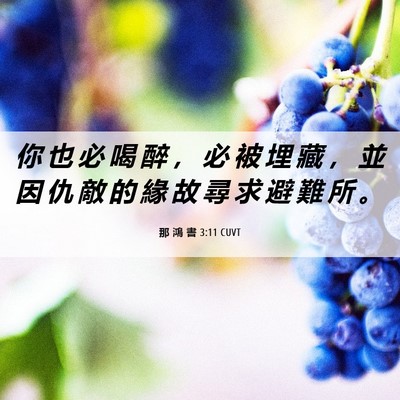 Picture 06 - 那 鴻 書 3:11 CUVT - 你 也 必 喝 醉 ， 必 被 埋 藏 ， 並 - Bible Verse Picture