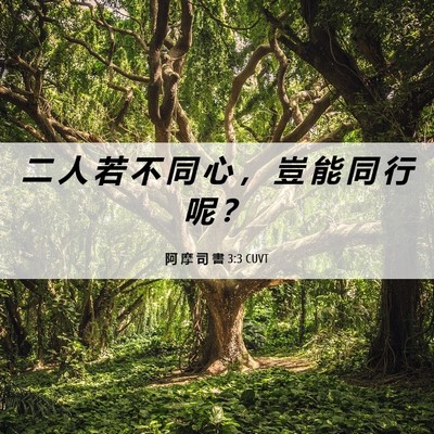 Picture 06 - 阿 摩 司 書 3:3 CUVT - 二 人 若 不 同 心 ， 豈 能 同 行 呢 - Bible Verse Picture