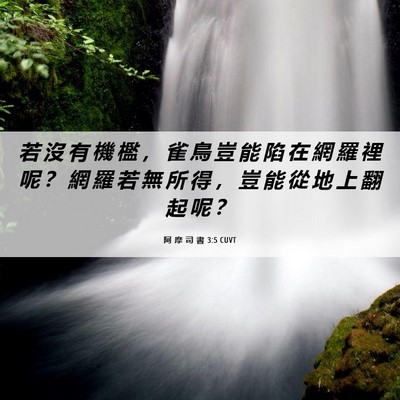 Picture 06 - 阿 摩 司 書 3:5 CUVT - 若 沒 有 機 檻 ， 雀 鳥 豈 能 陷 在 - Bible Verse Picture
